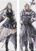 PM Jill Warrick X Dion - Final Fantasy XVI Anime Body Pillow Cover  -GM-PC150-FF16 - 2